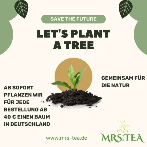 Plant a tree