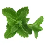 Stevia