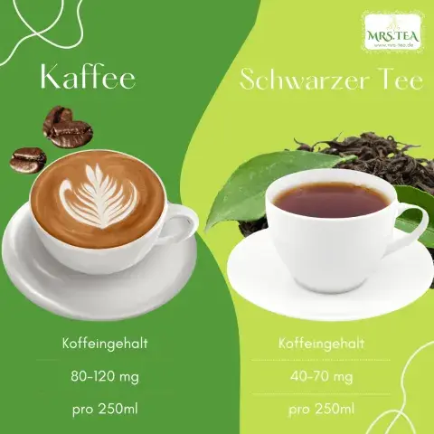 Koffeingehalt Kaffee schwarzer Tee