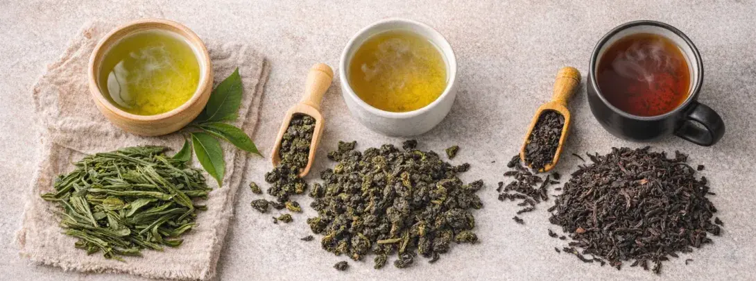 Was bedeutet oxidiert bei Tee. Übersicht zur Teeoxidation: nicht oxidierter Grüntee, teiloxidierter Oolong und voll oxidierter Schwarztee mit Teeblättern und aufgebrühten Tassen